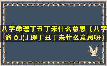 八字命理丁丑丁未什么意思（八字命 🦆 理丁丑丁未什么意思呀）